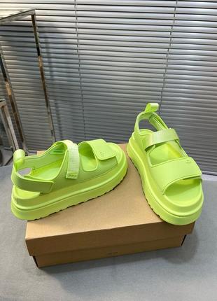 Босоножки, босоножки campaign ugg6 фото