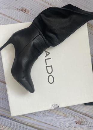 Чоботи aldo