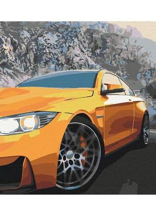 Картина за номерами драйвовий краєвид bs53710