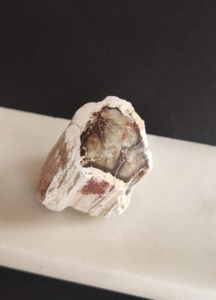 Скам'яніле дерево. окам'яніле дерево. закам'яніле дерево  30*25*28 мм.