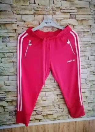 Спортивные бриджи с лампасами