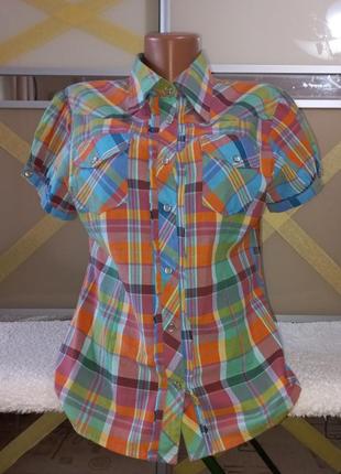 Яркая блуза рубашка sasperilla в клетку1 фото