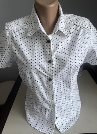 Дуже гарна сорочка в горошок