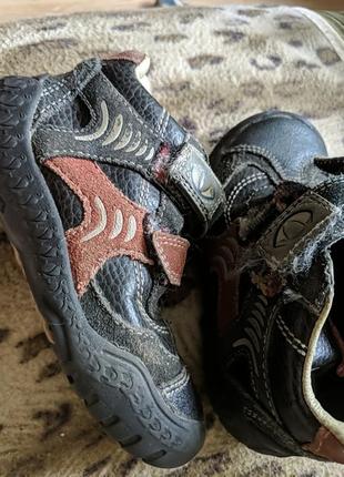 Бёртенки кожа