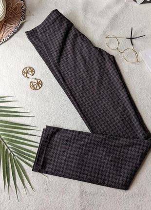 Zara испания! лосины, леггинсы из последней коллекции. школа. натуральный состав 100 cotton. модный прин