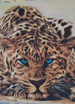 Готовая алмазная мозаика леопард