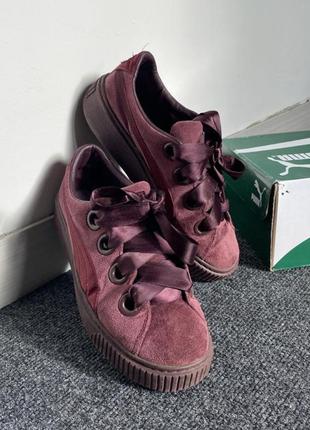 Кросівки, кеди puma | carina street | suede | basket