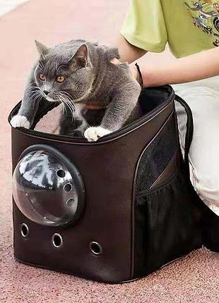 Рюкзак для перенесення тварин з ілюмінатором cosmopet cp-04 для котів та собак dark brown5 фото