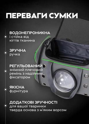 Сумка переноска для кошек и собак 51x28x26 см cosmopet cp-01 (l) grey-green3 фото