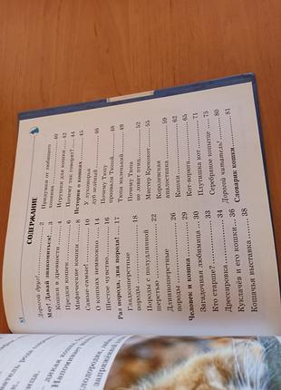 Самое интересное о кошках детская энциклопедия кошки