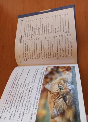 Самое интересное о кошках детская энциклопедия кошки