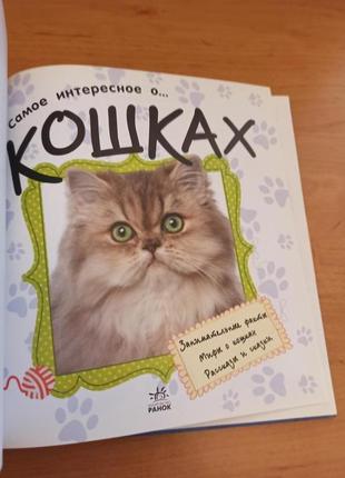 Самое интересное о кошках детская энциклопедия кошки