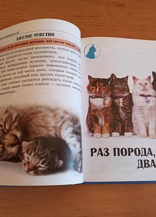 Самое интересное о кошках детская энциклопедия кошки