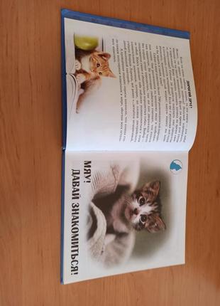 Самое интересное о кошках детская энциклопедия кошки