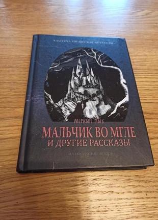 Мервин пик мальчик во мгле и другие рассказы
