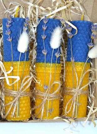 Патріотичний подарунковий набір свічок з вощини 3 шт