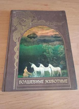 Волшебные животные зачарованный мир раритет нюанс