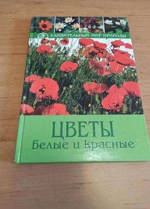 Бруно кремер цветы белые и красные удивительный мир природы