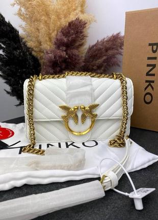 Pinko white  bbp14002