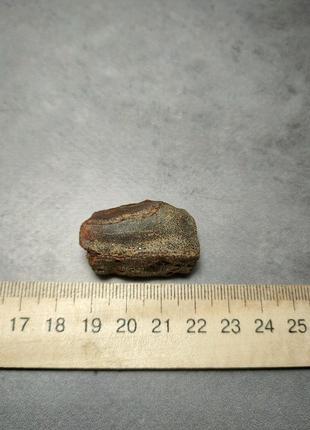 Камінь натуральний бурштин 34*20*12  мм . україна.3 фото