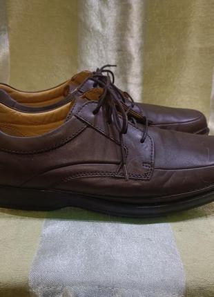 Шкіряні туфлі clarks
