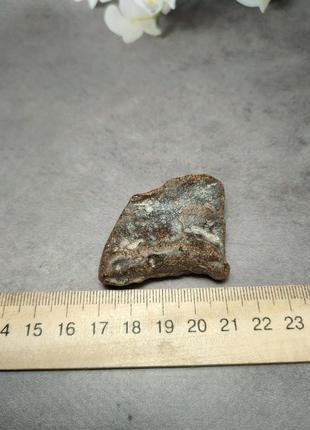 Камінь натуральний бурштин 30*41*12  мм . україна.7 фото