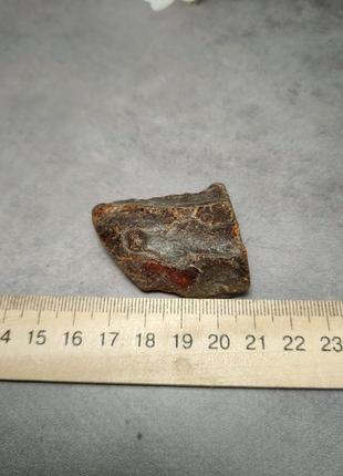 Камінь натуральний бурштин 30*41*12  мм . україна.6 фото