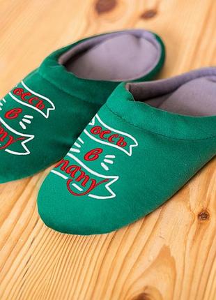 Хатні капці шльопанці "весь у тата" багіра