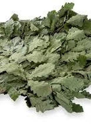 Веник для бани, сауны "дубовый"