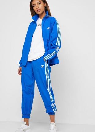 Штаны adidas, штани adidas, джогеры