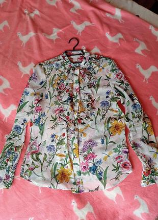 Блуза ,сорочка