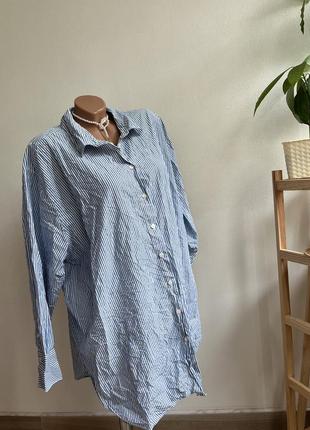 Рубашка женская в полоску батал l-xxl h&m