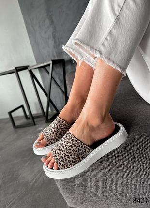 Шлепки женские stella леопард