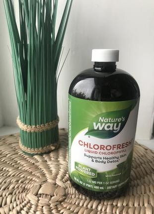 Рідкий хлорофіл nature's way chlorofresh 480 мл зі смаком м'яти