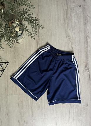 Чоловічі шорти adidas