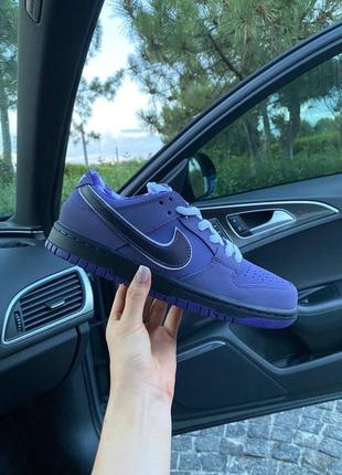 Кроссовки nike sb dunk low purple lobster