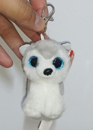 Собака хаскі ty