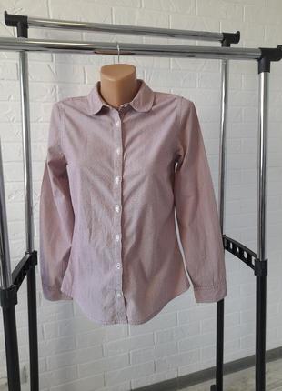 Бавовняна приталена  сорочка