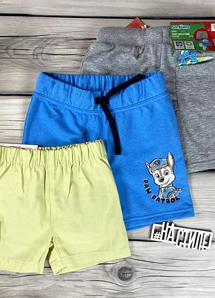 Набор шорт пожилых мальчик 110-116см kunibo/paw patrol