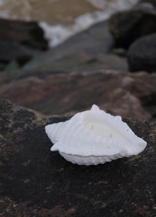 Свеча ракушка соевый воск