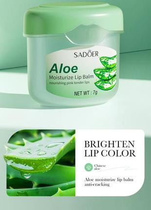 Бальзам вазелин для губ sadoer vaseline moisturize lip balm, 7г алое