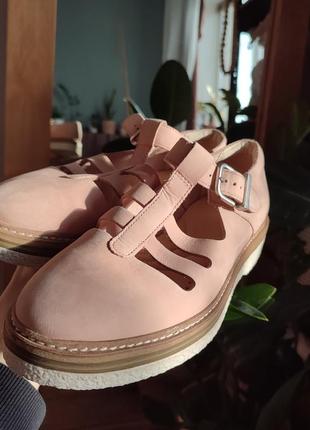 Блоги clark's