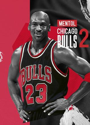 Широкие,baggy шорты спортивные nike nba chicago bulls.jordan 23