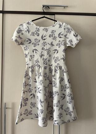 Сукня asos тату