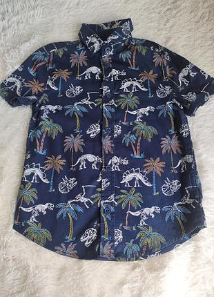 Рубашка с коротким рукавом, скелеты динозавров