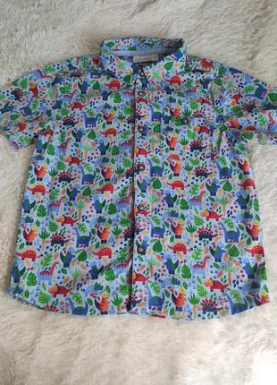 Рубашка с коротким рукавом, динозавры