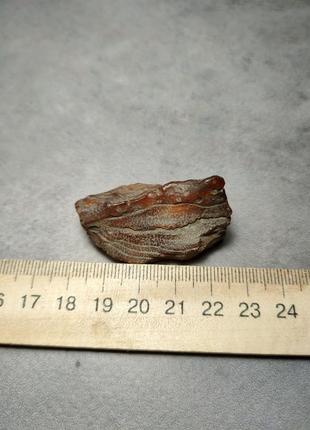 Камінь натуральний бурштин 43*16*23  мм . україна.4 фото