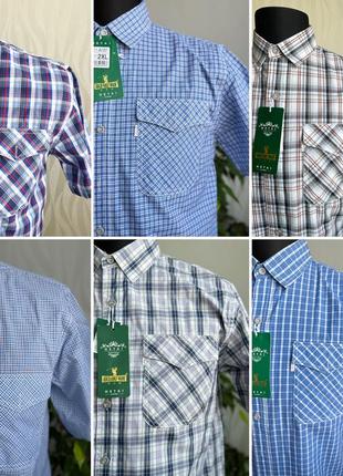 Тонкая летняя рубашка в клетку с коротким рукавом тенниска шведка рубашка с коротким рукавом