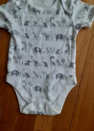 Боди, штаны и шорты 3