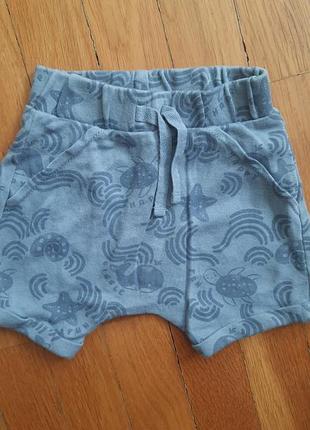 Боди, штаны и шорты 6